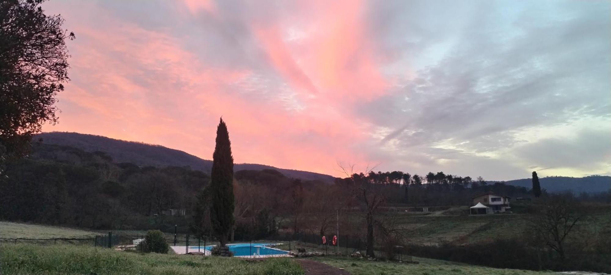 I Salici Agriturismo Badia Agnano Exterior photo